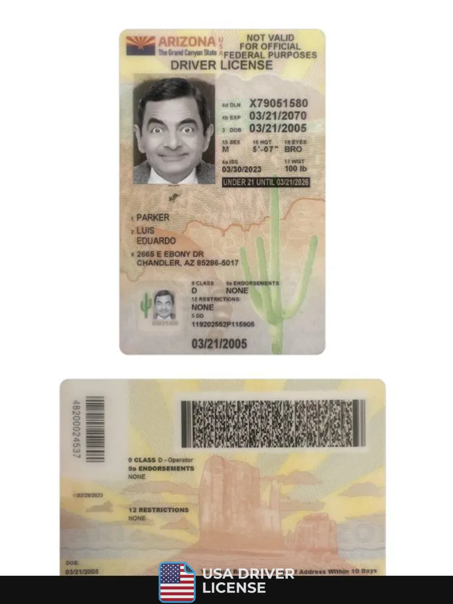Usa Arizona Under 21 Driving License 2023 Present — Driver License