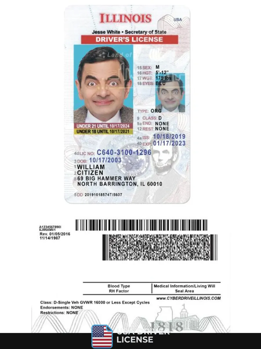 Usa Illinois Driving License Under 21 — Driver License