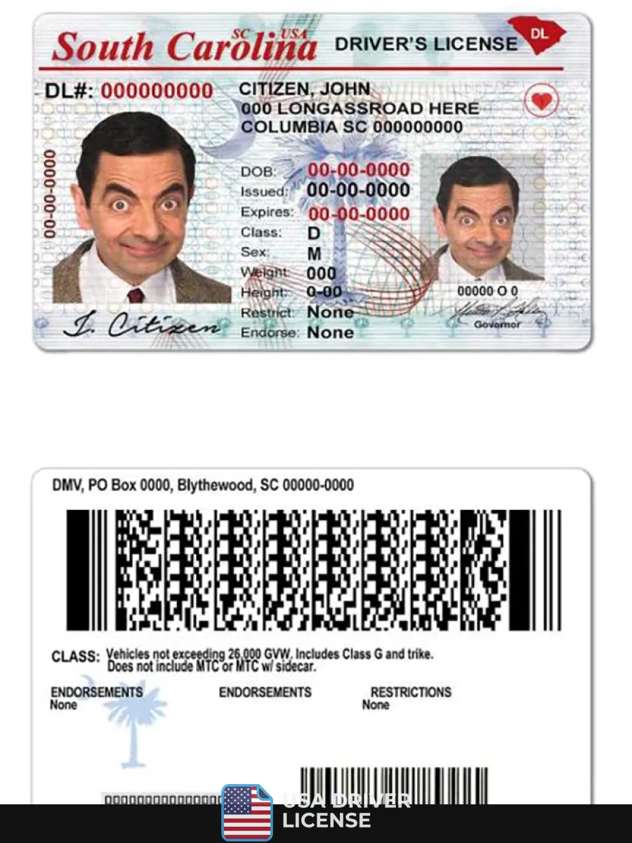 Usa South Carolina State Driving License — Driver License