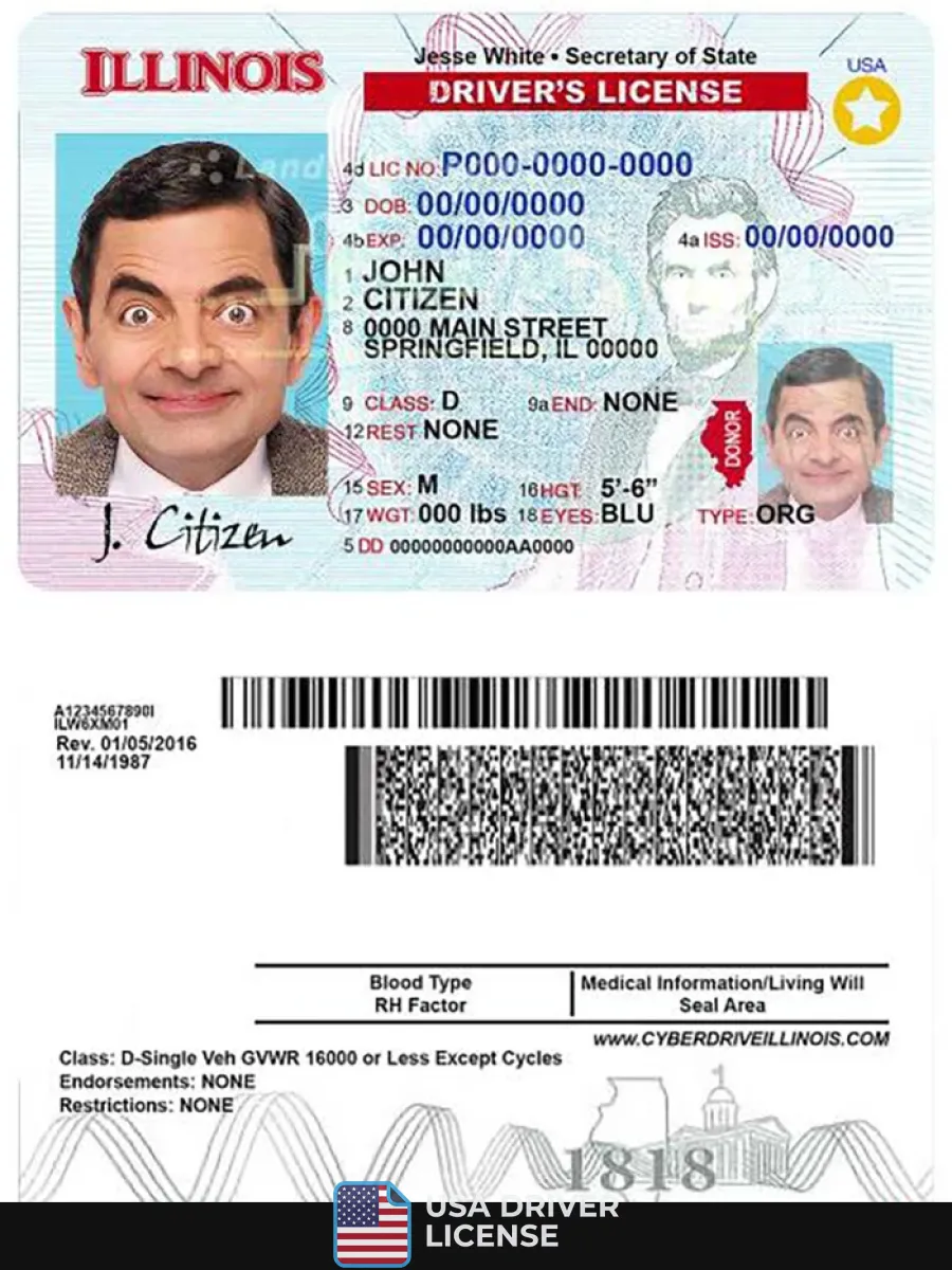Usa Illinois Driving License — Driver License