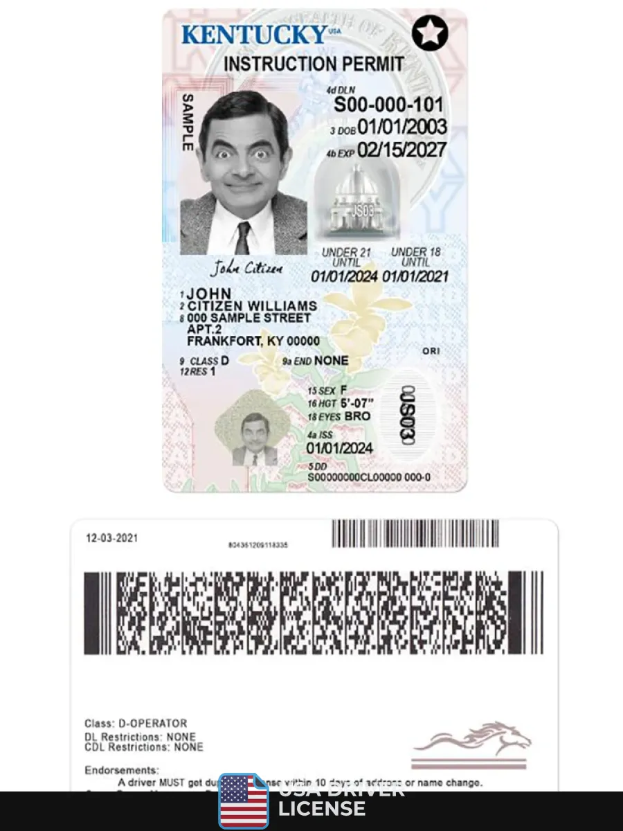 Usa Kentucky Driving License Under 21 — Driver License