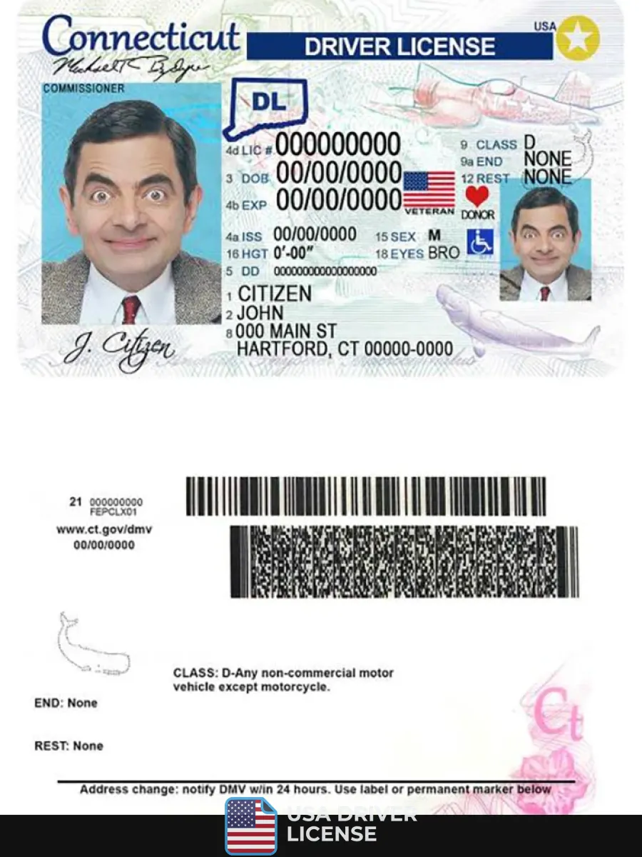 Usa Connecticut Driving License — Driver License