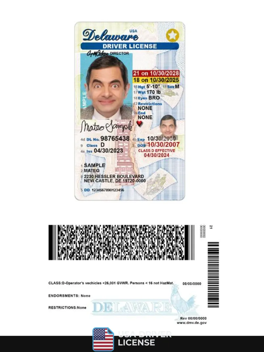 Usa Delaware Under 21 Driving License — Driver License