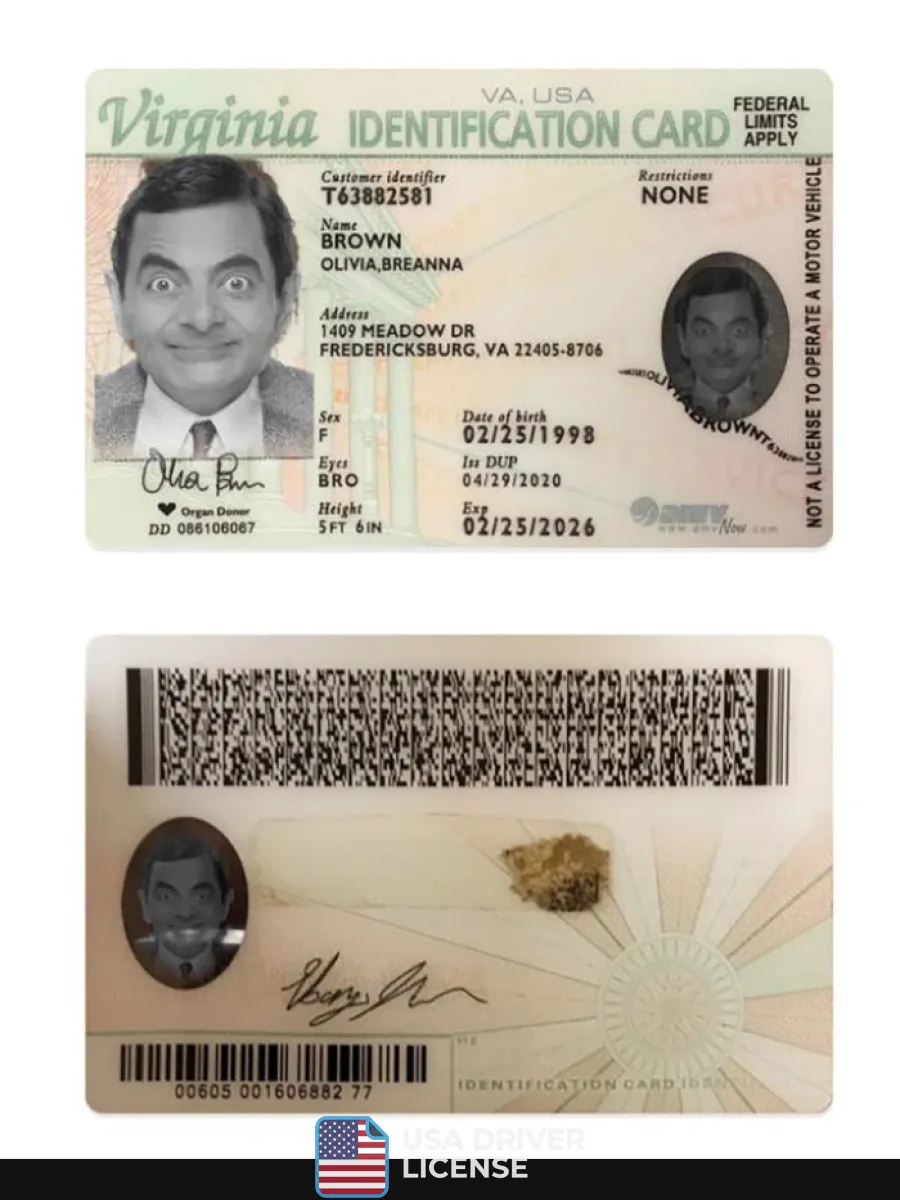 Usa Virginia Id Card — ID Cards