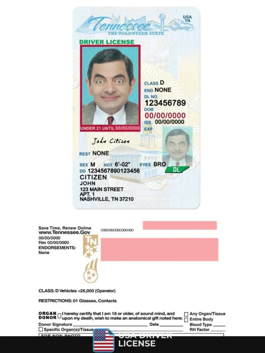 Usa Tennessee Driving License Under 21 — Driver License