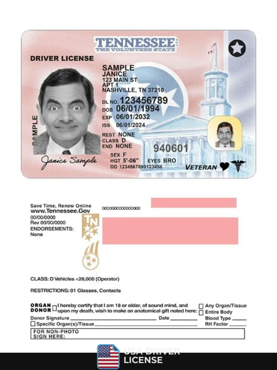 Usa Tennessee Driving License 2024 Present — Driver License