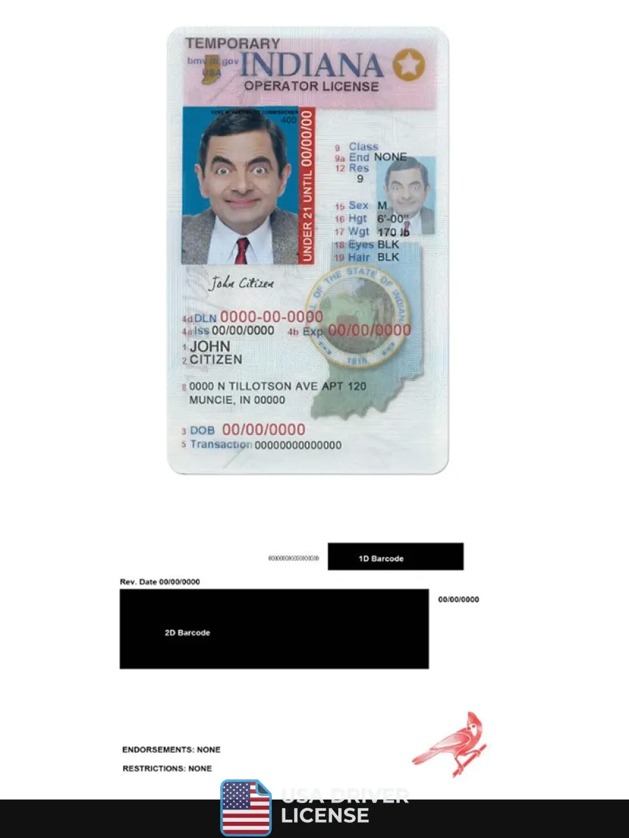 Usa Indiana Driving Operator License Under 21 — Driver License