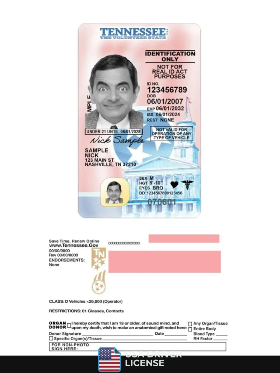 Usa Tennessee Under 21 Driving License 2024 Present