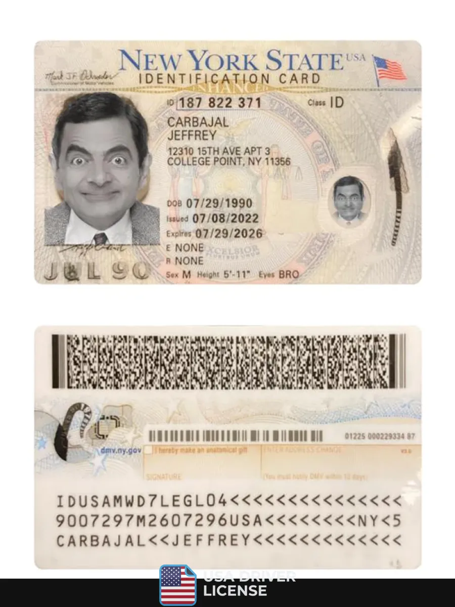 Usa New York Id Card 2022 Present — ID Cards