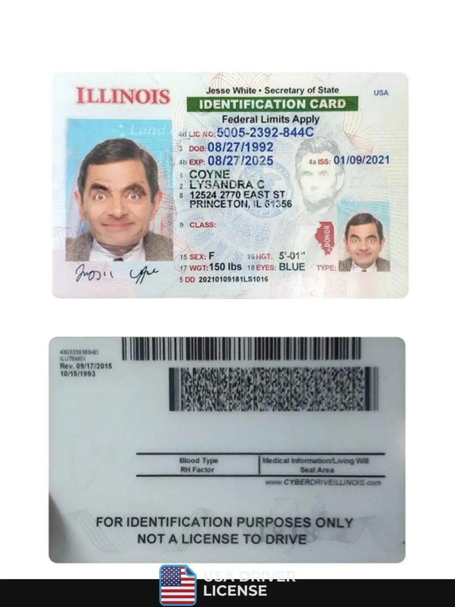 Usa Illinois Id Card