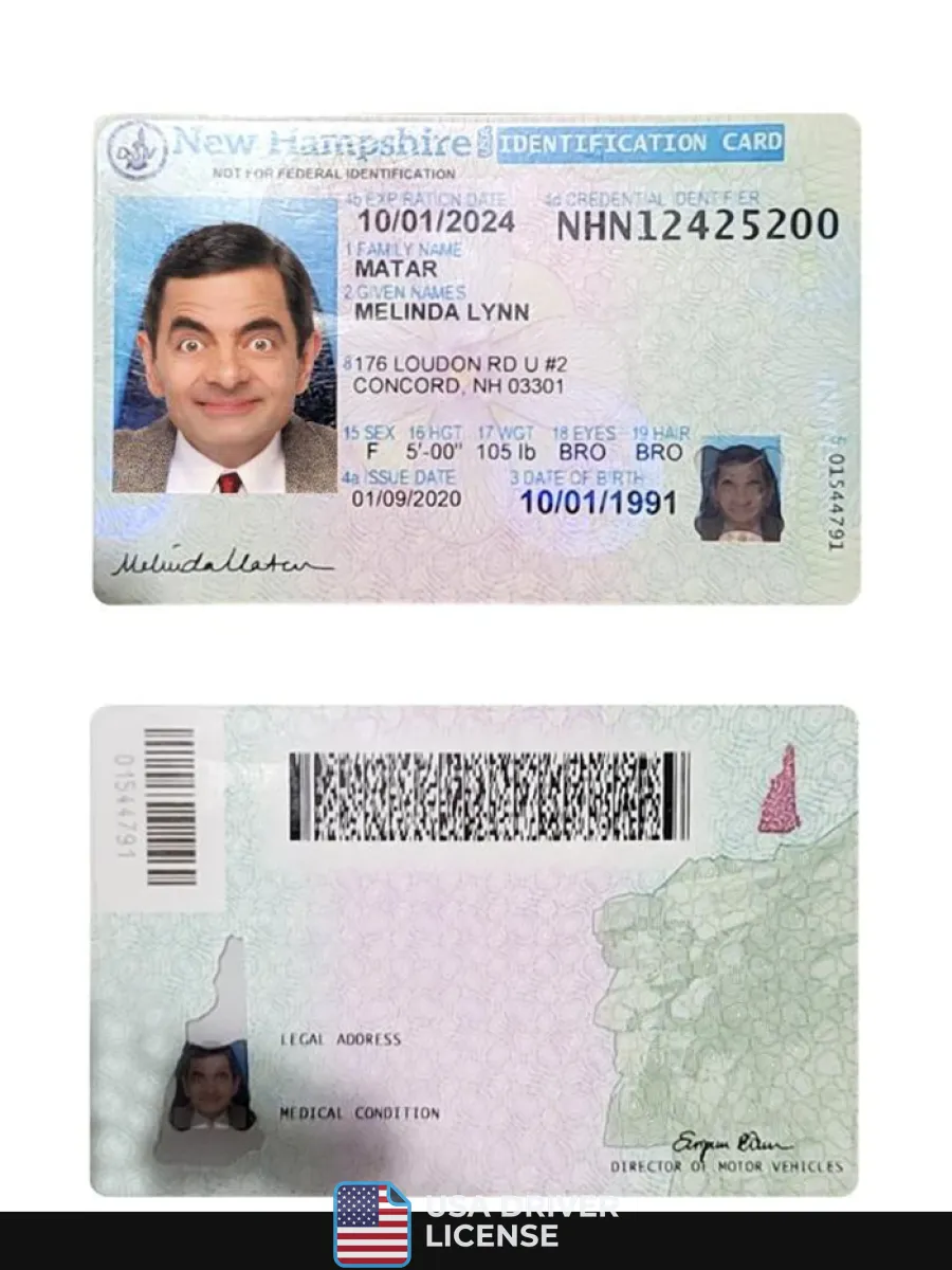Usa New Hampshire Id Card — ID Cards
