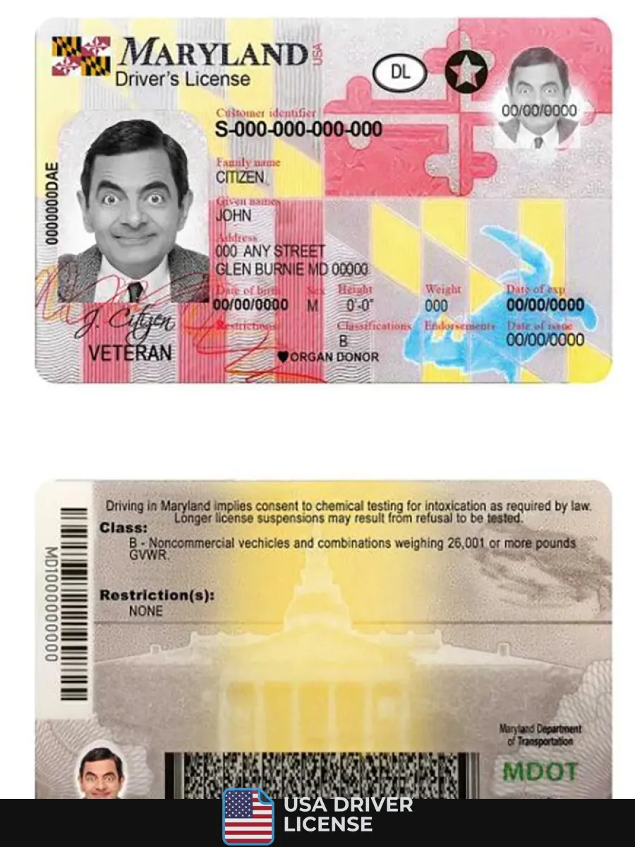 Usa Maryland Driving License — Driver License