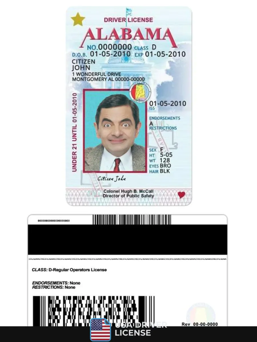 Usa Alabama Driving License Under 21 — Driver License