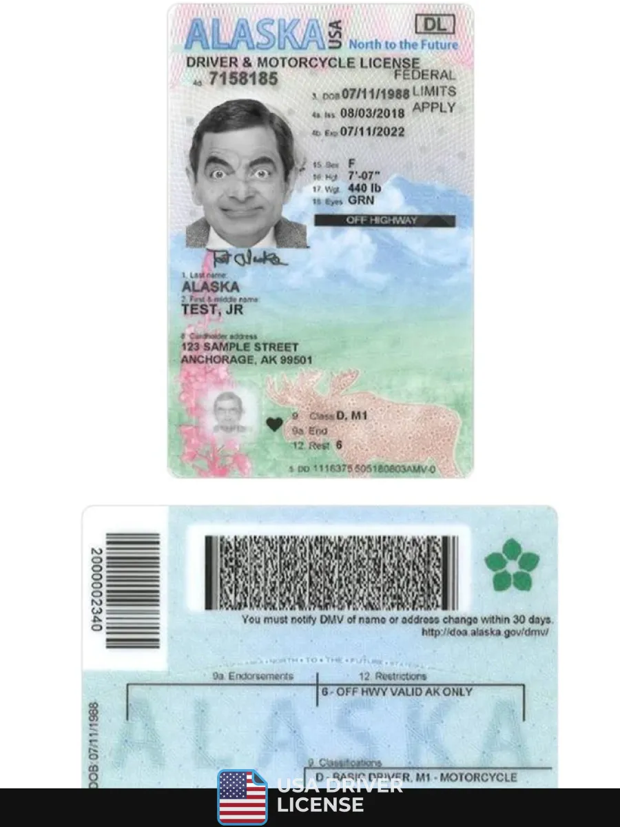 Usa Alaska Under 21 Driving License — Driver License