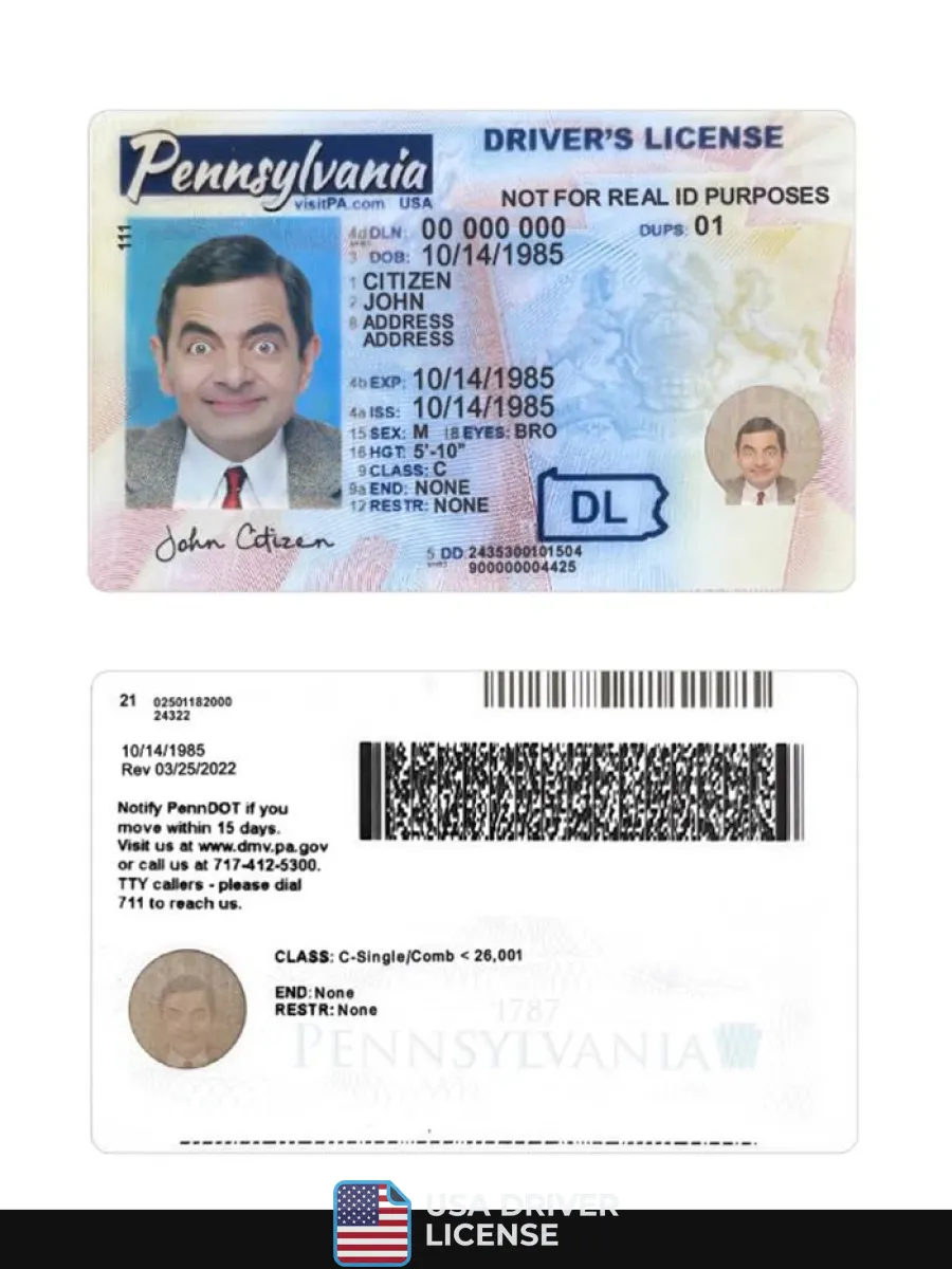 Usa Pennsylvania Driving License 2024 Present — Driver License