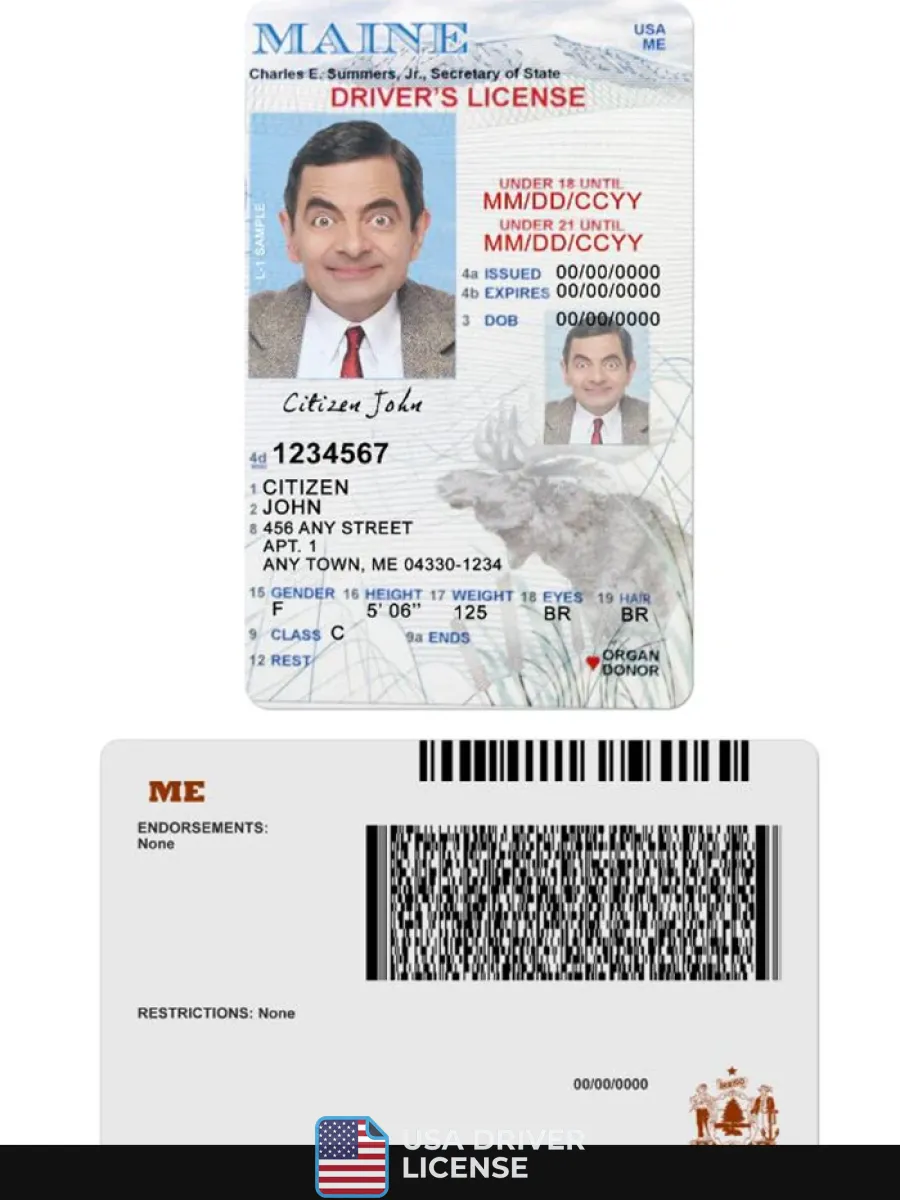 Usa Maine Driving License Under 21 — Driver License