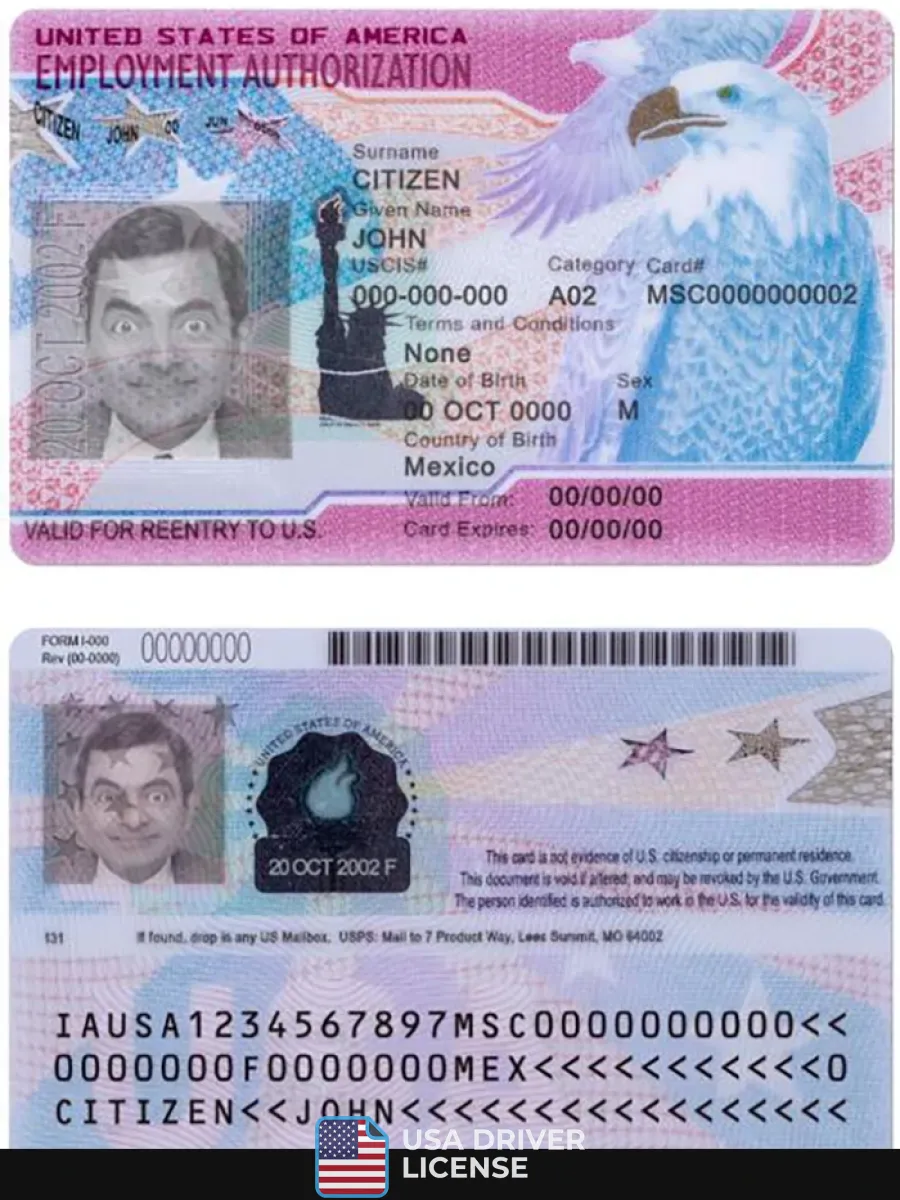 Usa Employment Authorization