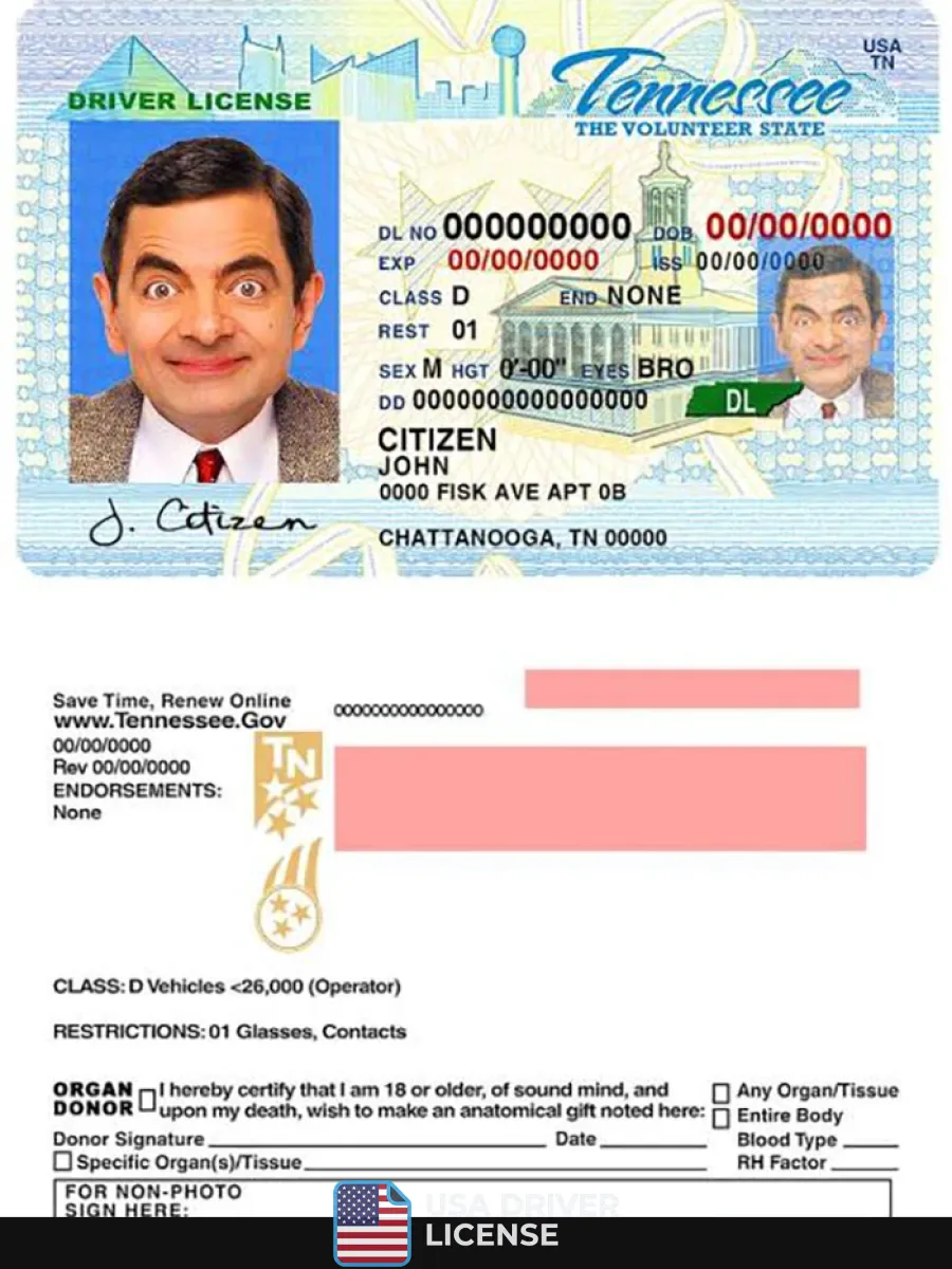 Usa Tennessee Driving License — Driver License