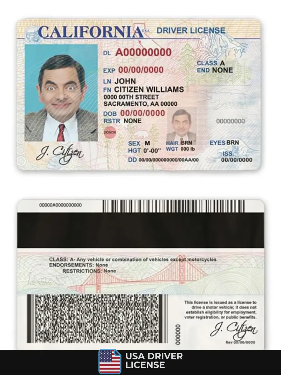 Usa State California Driver License — Driver License