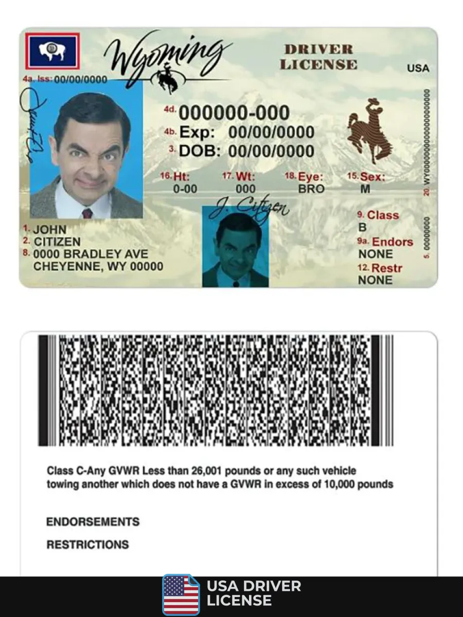 Usa Wyoming State Driving License — Driver License