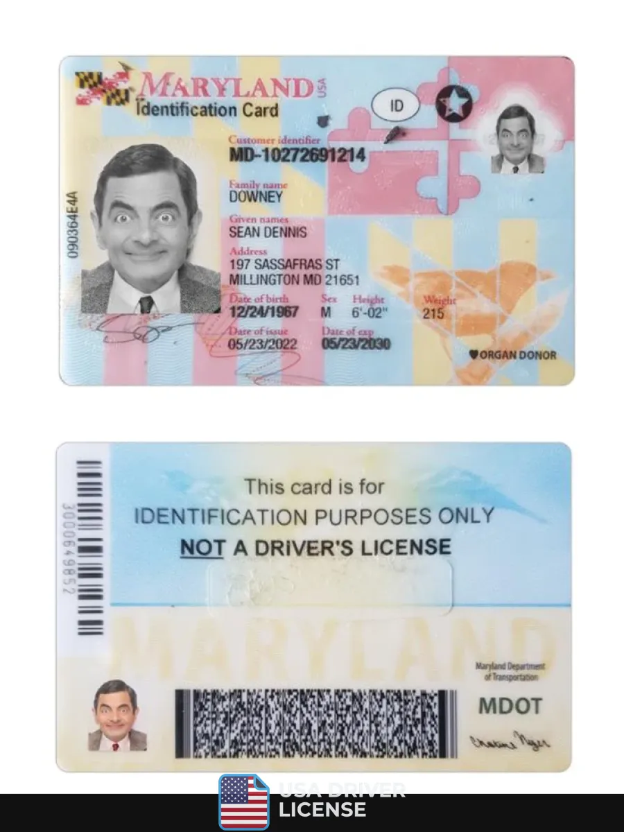 Usa Maryland Id Card