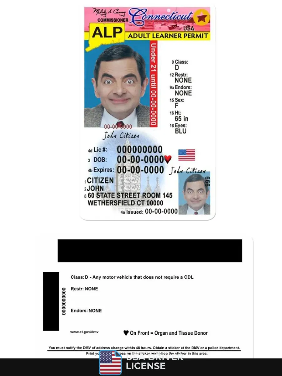 Usa Connecticut Driving License Under 21 — Driver License