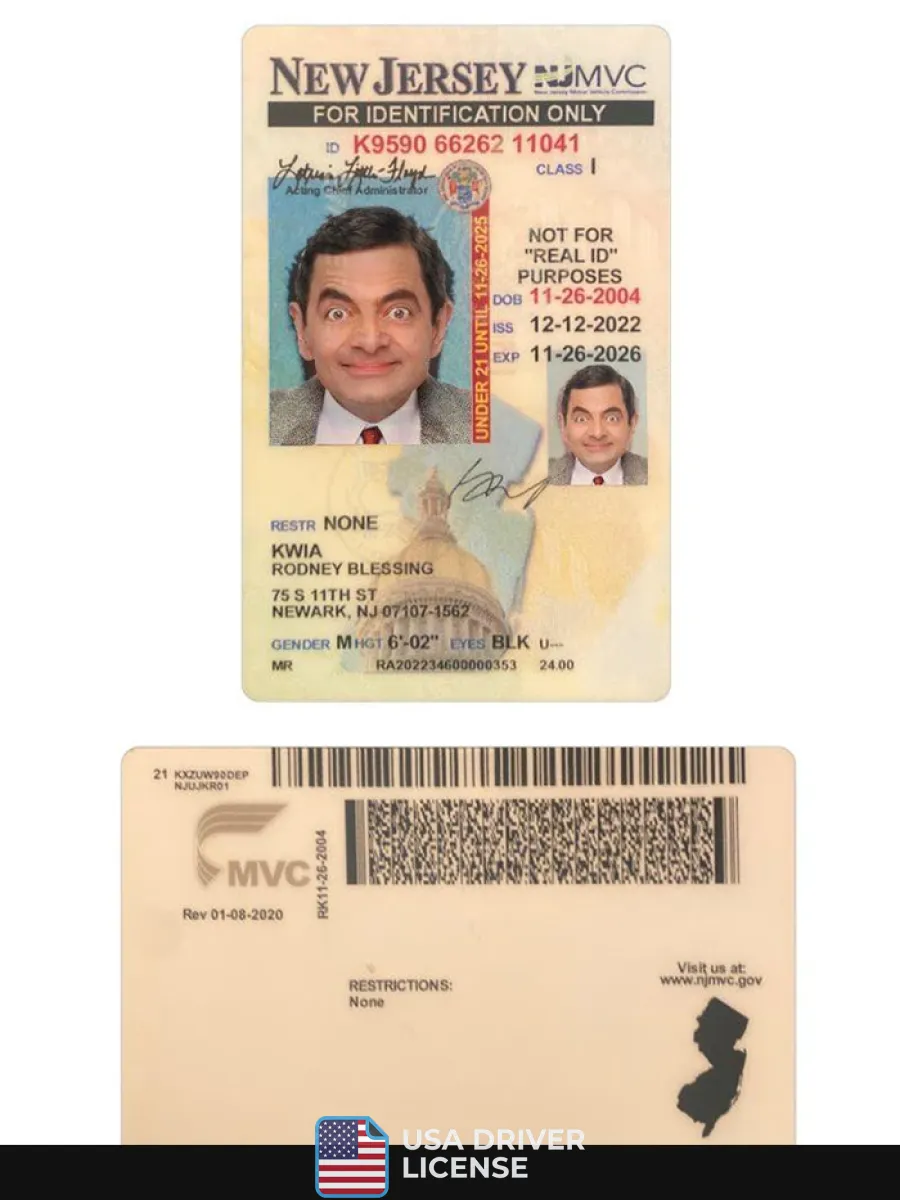 Usa New Jersey Under 21 Id Card — ID Cards