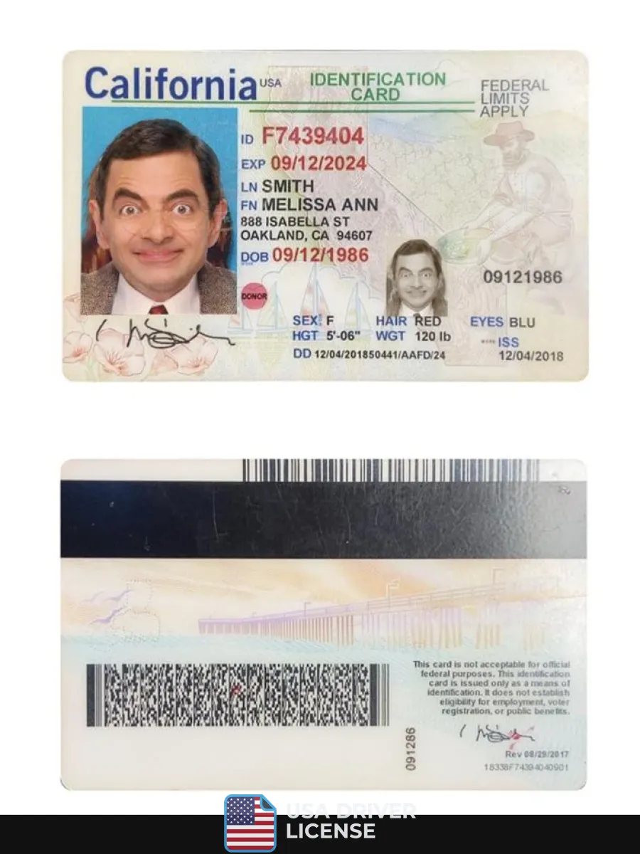 Usa California Id Card