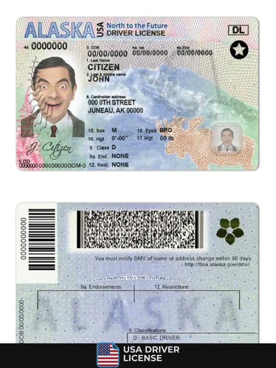 Usa Alaska State Driving License — Driver License