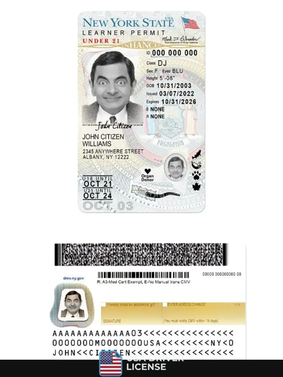 Usa New York Driving License Under 21 Version 2 — Driver License
