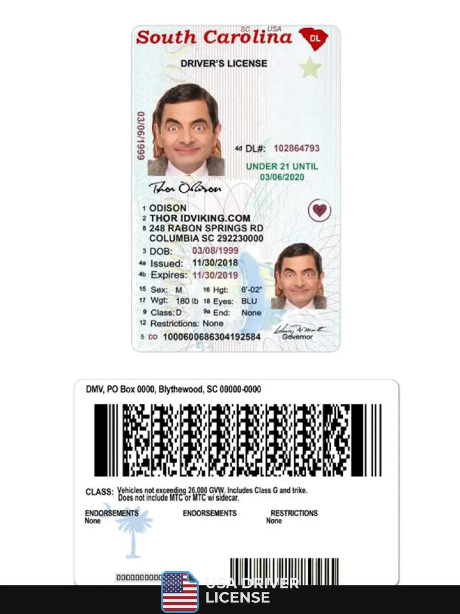Usa South Carolina Under 21 Driving License — Driver License
