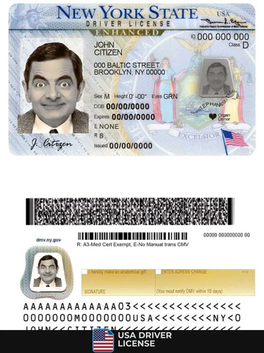 Usa New York Driving License — Driver License